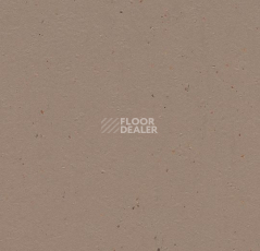 Линолеум Forbo Marmoleum Solid Cocoa 3580-358035 milk chocolate фото 1 | FLOORDEALER